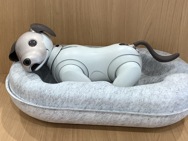 アイボ ERS-1000を買取|名古屋|名古屋小幡店