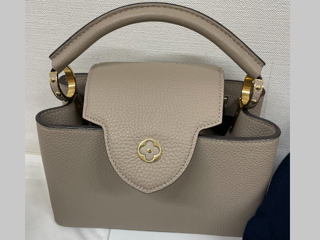 二　　M94755 ヴィトン カプシーヌBB パイソンハンドル 限定品 LOUIS VUITTON/ルイ・ヴィトン】 カプシーヌBB M94755 2WAY ショルダー