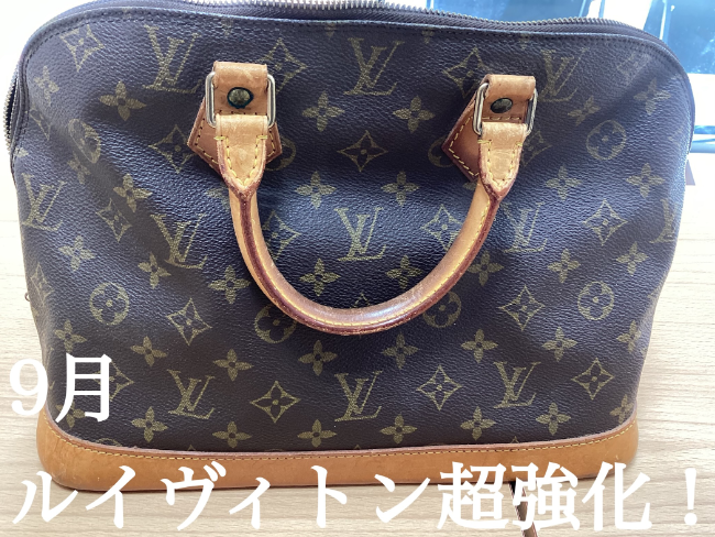 限界価格SALE】ルイヴィトン アルマbb モノグラムハンドバッグ2way