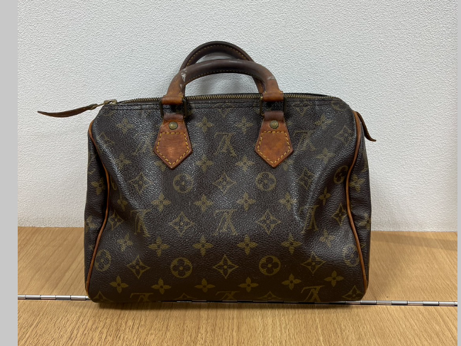 希少 LOUIS 素早 VUITTON ルイヴィトン タイガ プレジデント 